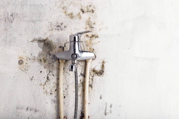 Best Mold Cleaning Services  in Mccord, OK
