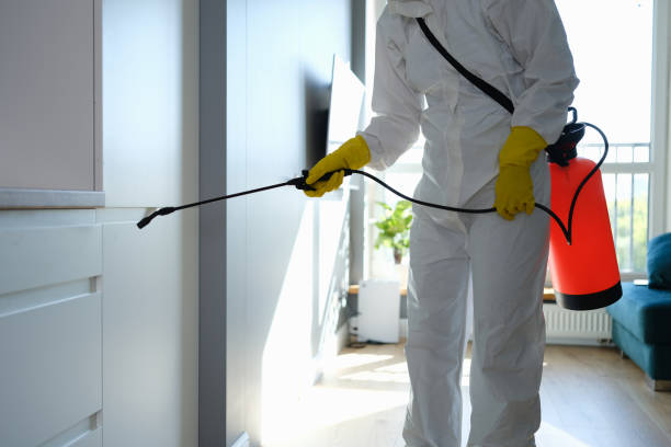 Best Mold Testing  in Mccord, OK