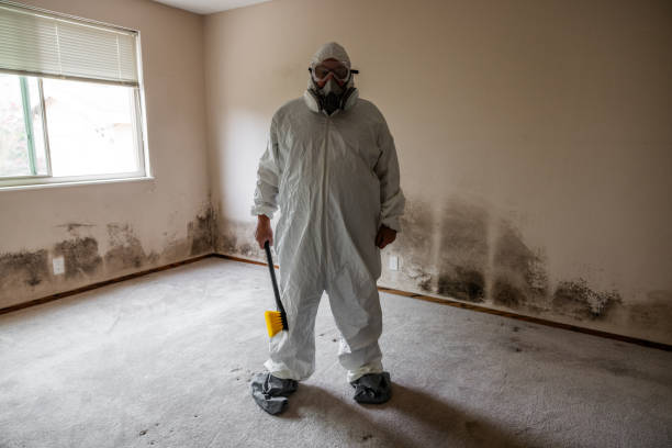 Attic Mold Removal in Mccord, OK
