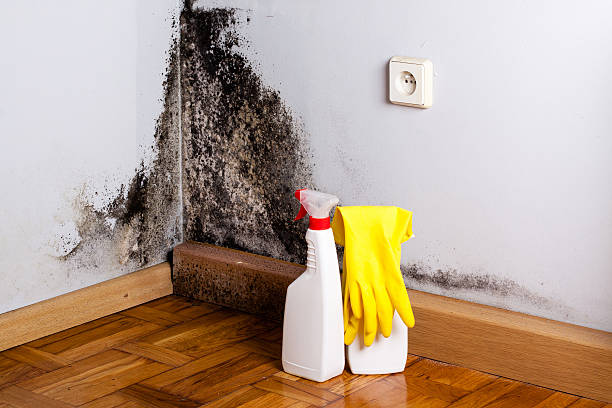 Best Mold Testing  in Mccord, OK