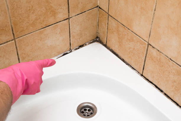 Home Mold Removal in Mccord, OK